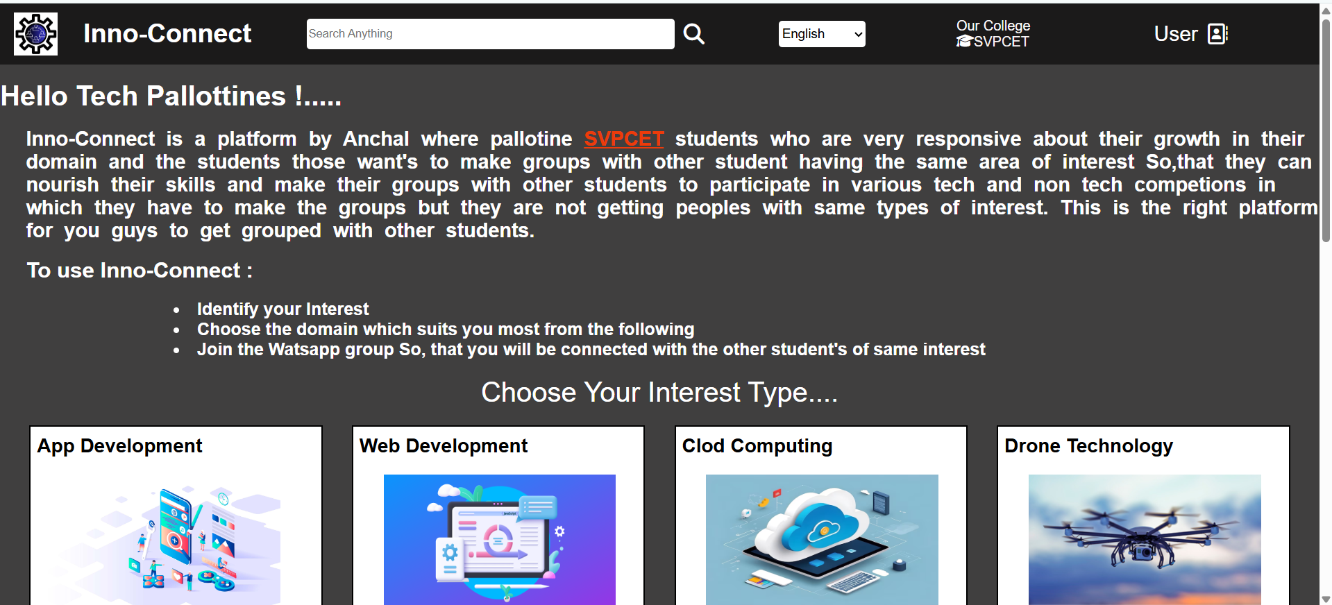 My Portfolio